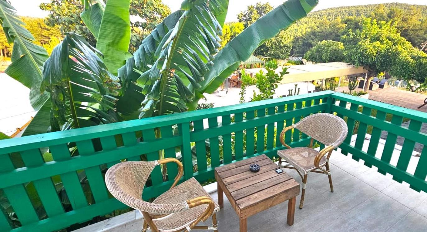 My House Urla Hotel Измир Екстериор снимка